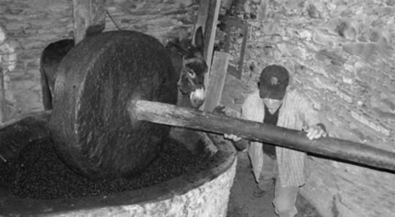 moulin5